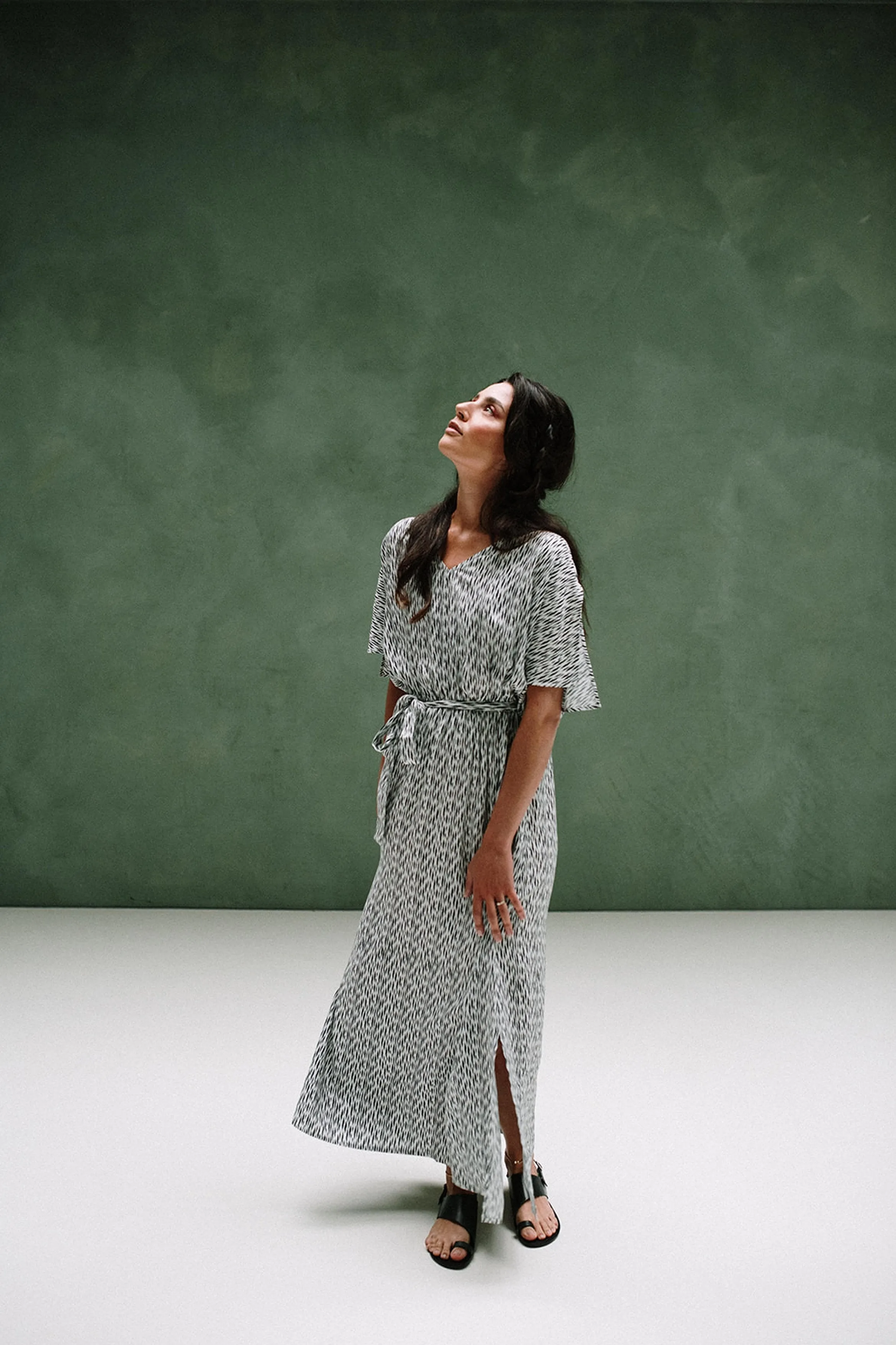 amali dress animal print